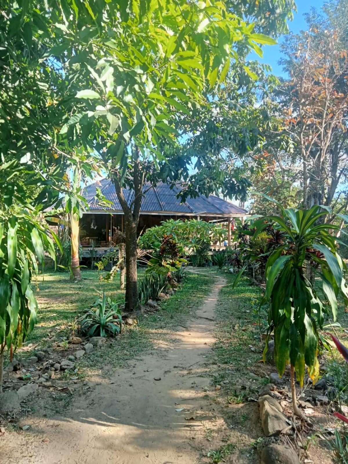 Fandee Island Treehouses & Ziplines - Tad Lo, Bolaven Loop Pakse Ban Kiangtat Eksteriør billede